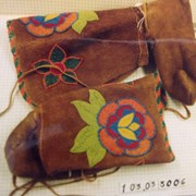 Cover image of Beaded Moccasins